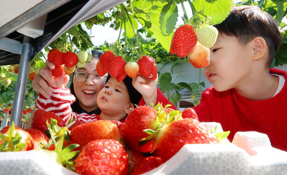 Фото: новостное агентство The Korea Times