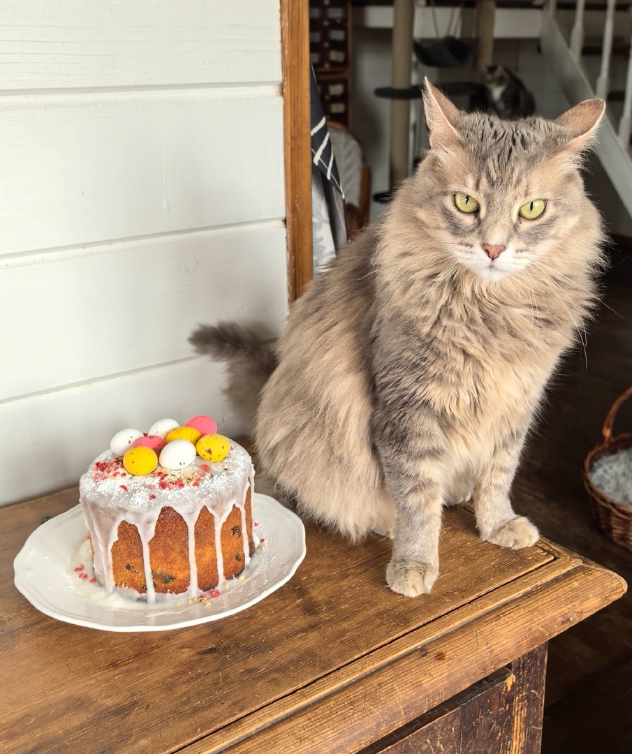 Фрида как всегда недовольна)