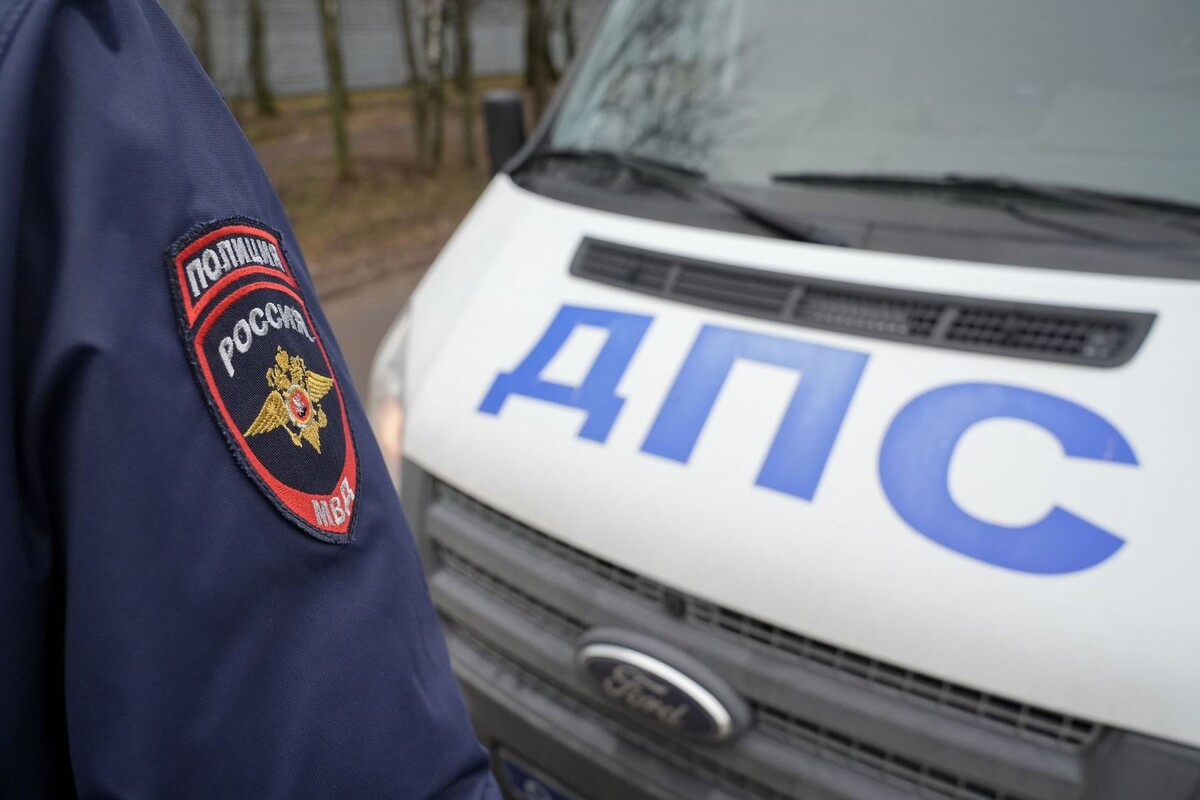     / Источник: © ИЗВЕСТИЯ/Эдуард Корниенко