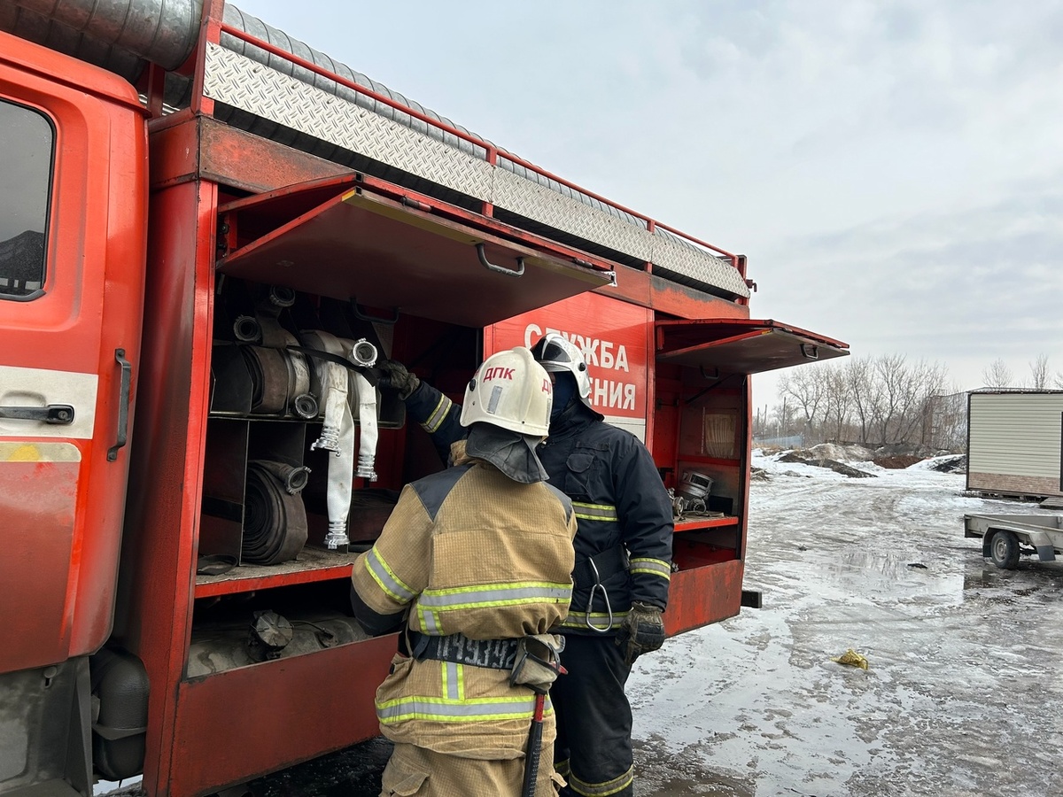    Фото: архив progorod