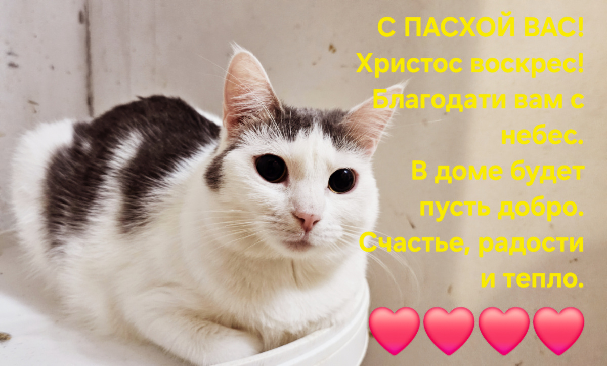 Фото автора. С праздником!