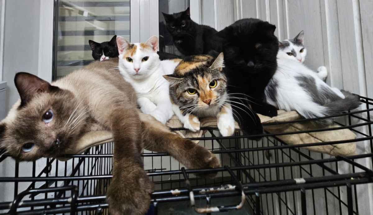 Фото автора. Ребята.