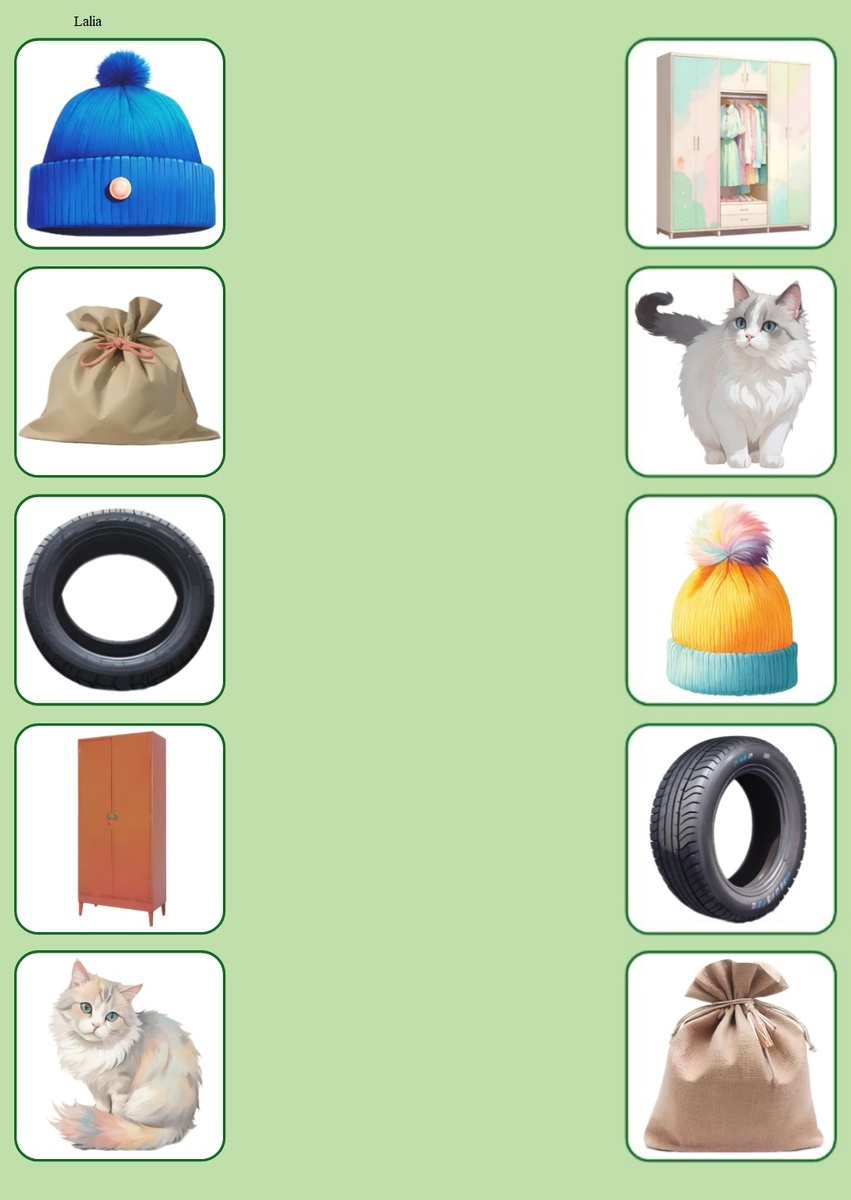 Звук [Ш]: Шапка, мешок, шина, шкаф, кошка.