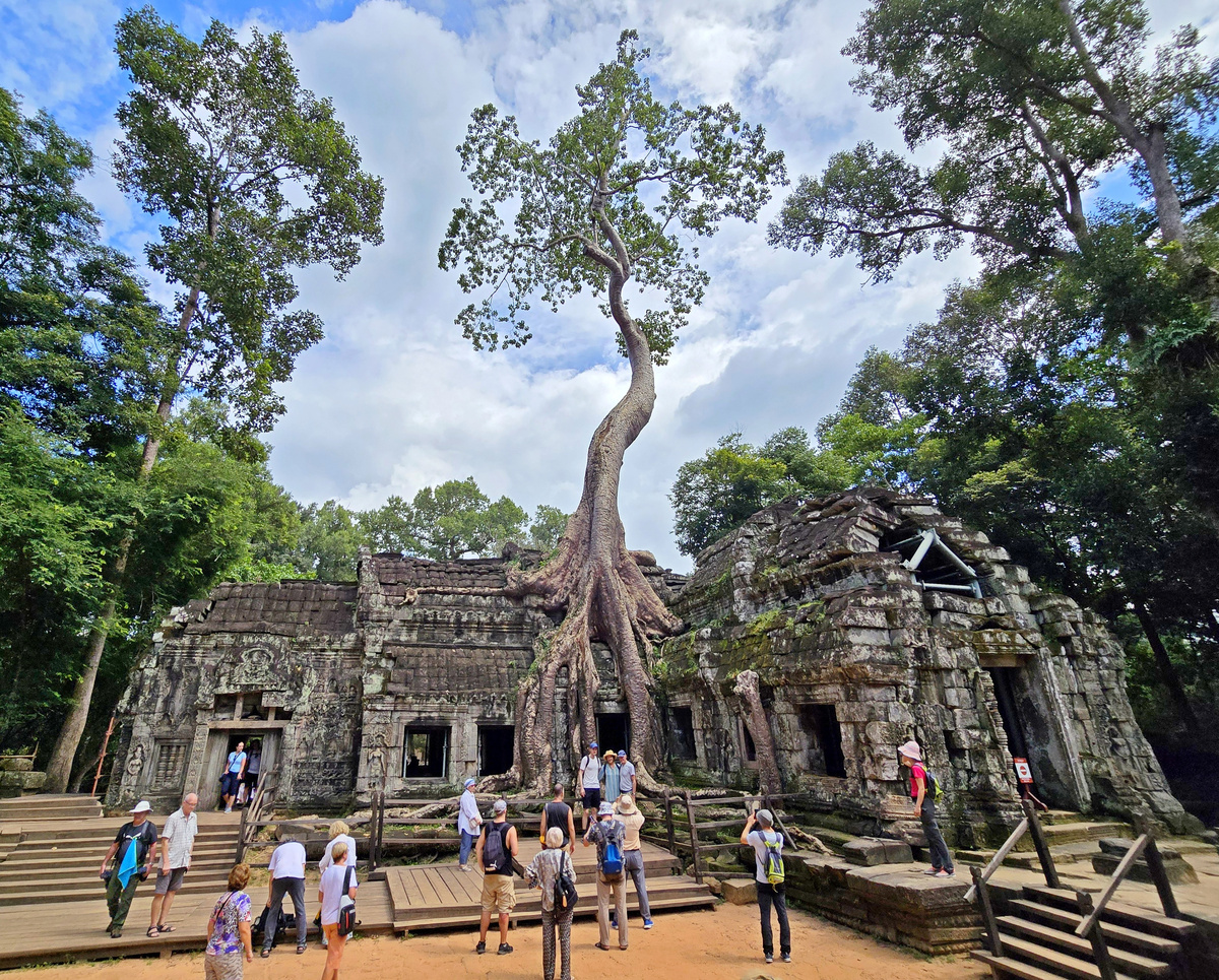 Один из дворцов Та Прома, отданный на растерзание джунглям