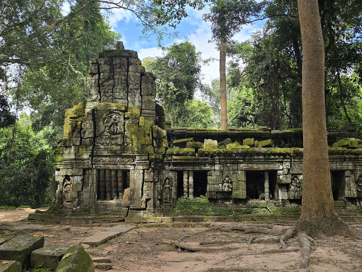 Весь покрытый зеленью.... замшелый.. и такой прекрасный..