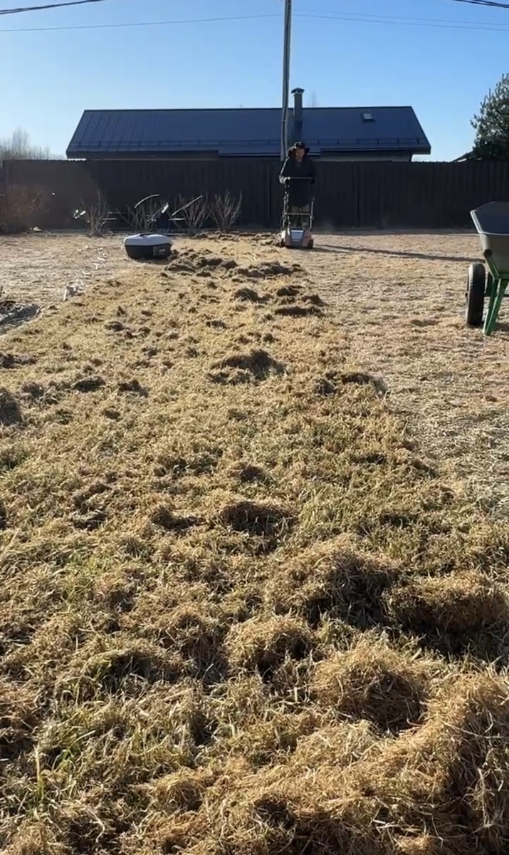 Сколько сухой травы мешает расти новым травинкам