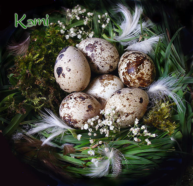 Композиция с перепелиными яйцами.