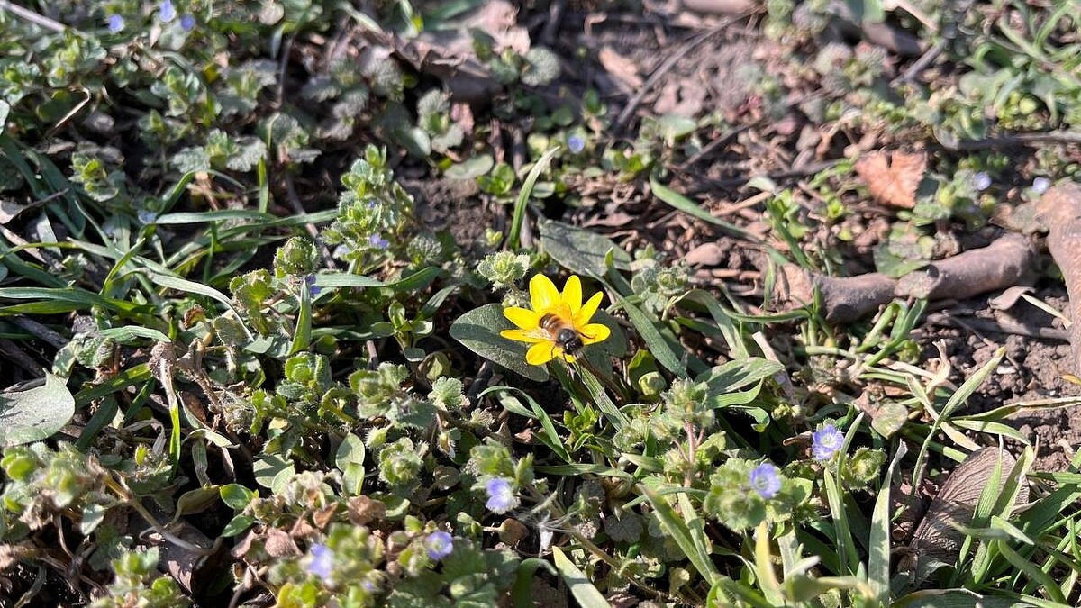    Фото: телеканал "Краснодар"