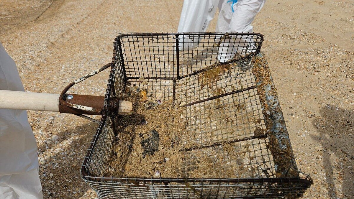    Фото: t.me/opershtab23