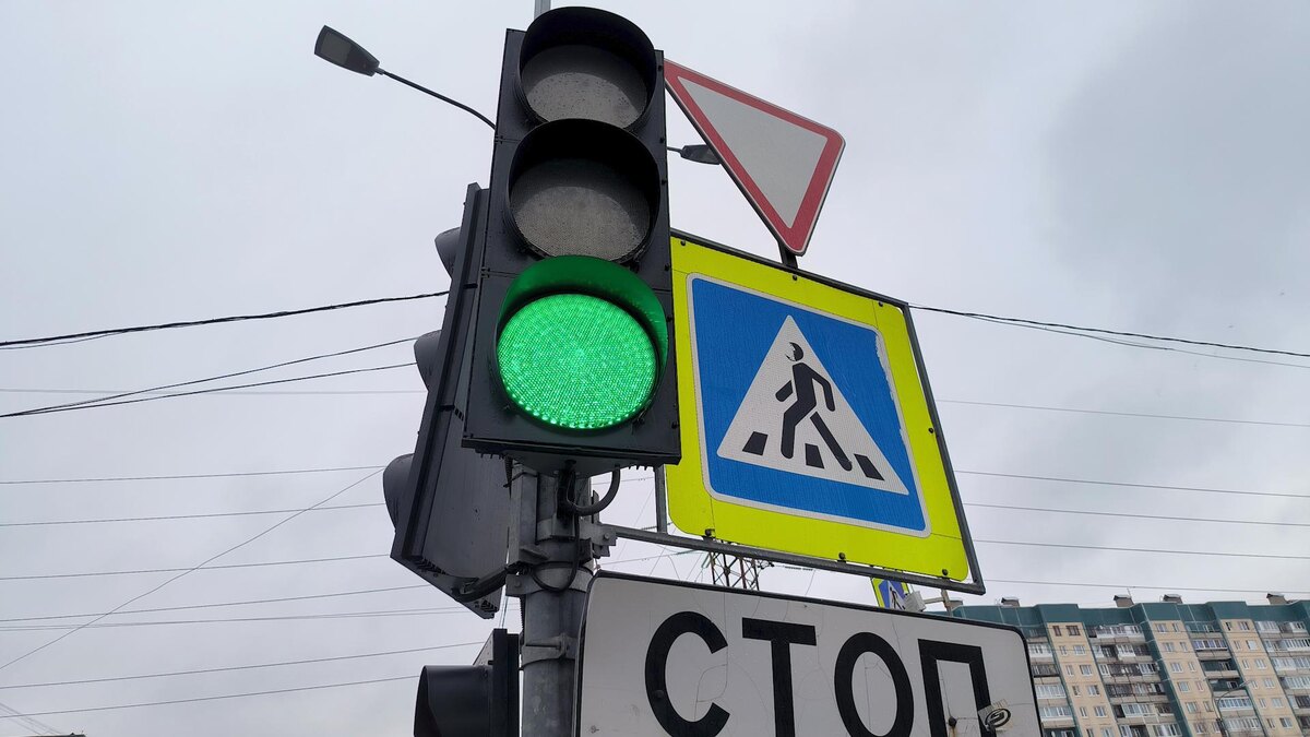    Фото: Maksim Konstantinov/globallookpress.com