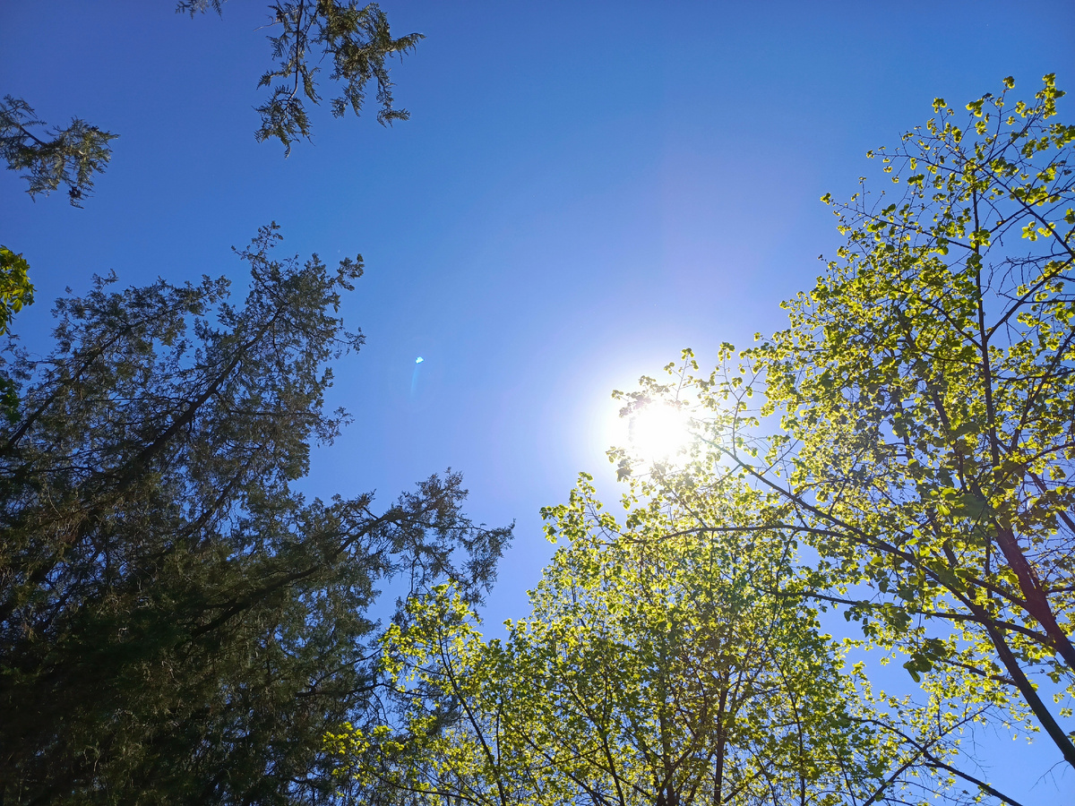 Утро нового дня