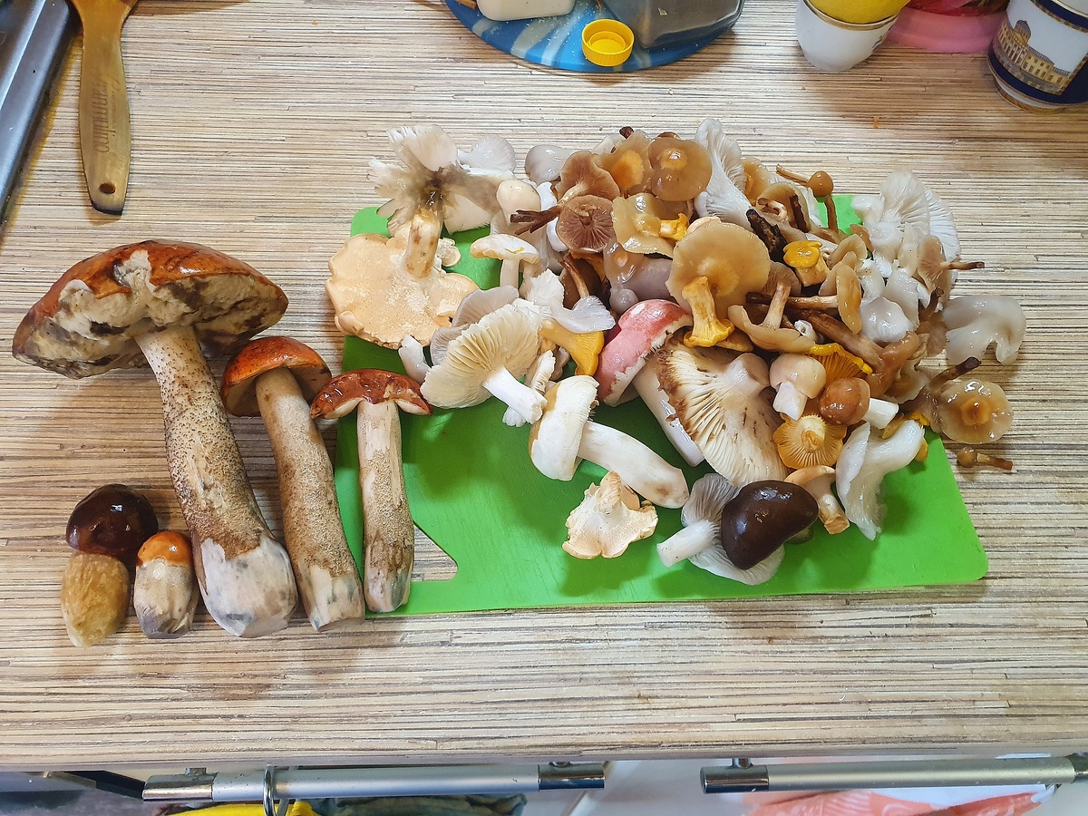 Архивное фото автора