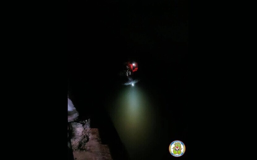    Спасатели вытащили собаку из пруда в Воткинске