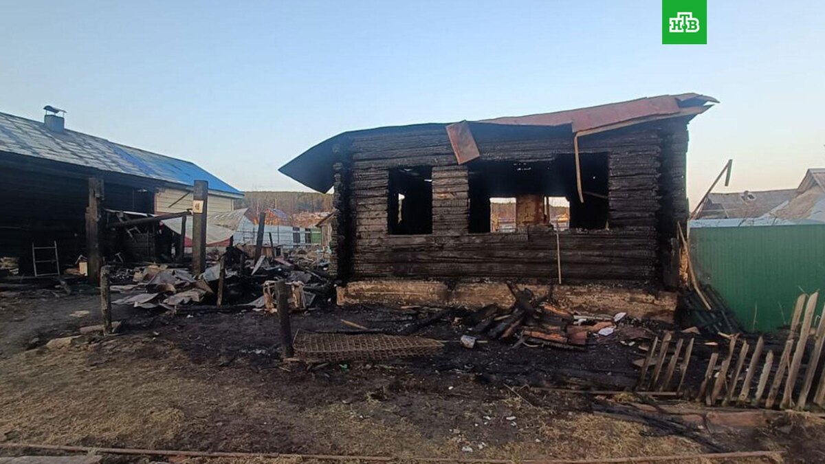    Фото: su_skr74 / t.me