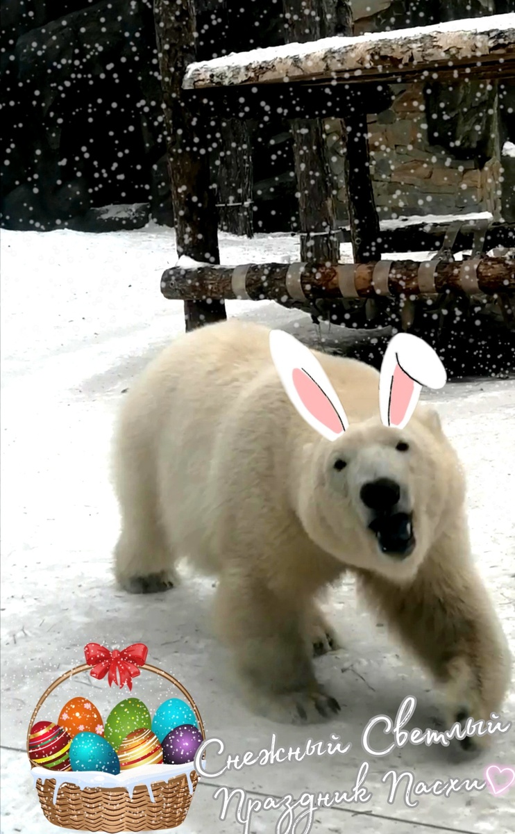 Зайка - Медвежонка Больше в Телеграм https://t.me/jokeferz