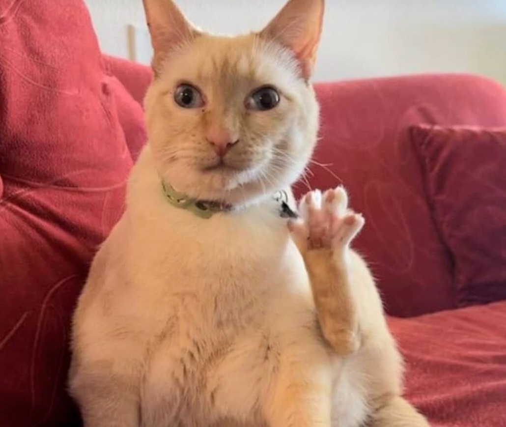 Алло, база? Как слышно?