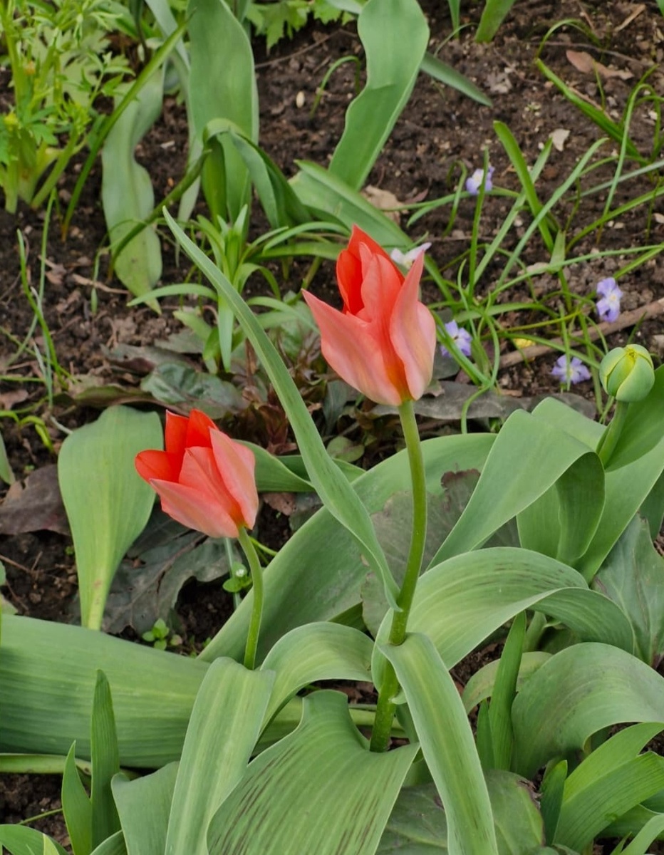 18 апреля 2025