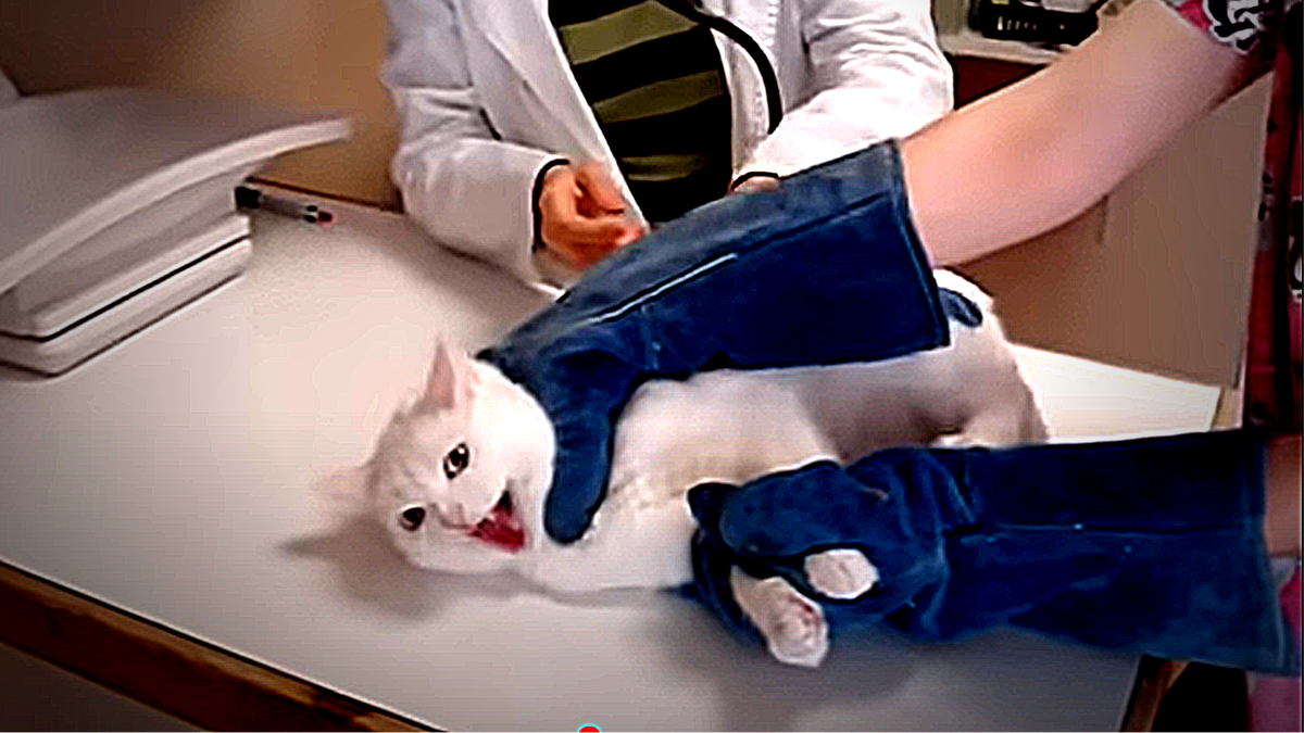 Я раньше думала, что краги только для вратарей, оказывается уже давно придуманы для врачей