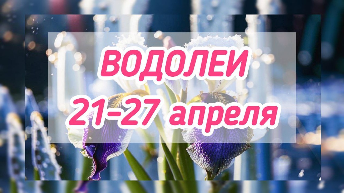 фото принадлежит автору канала