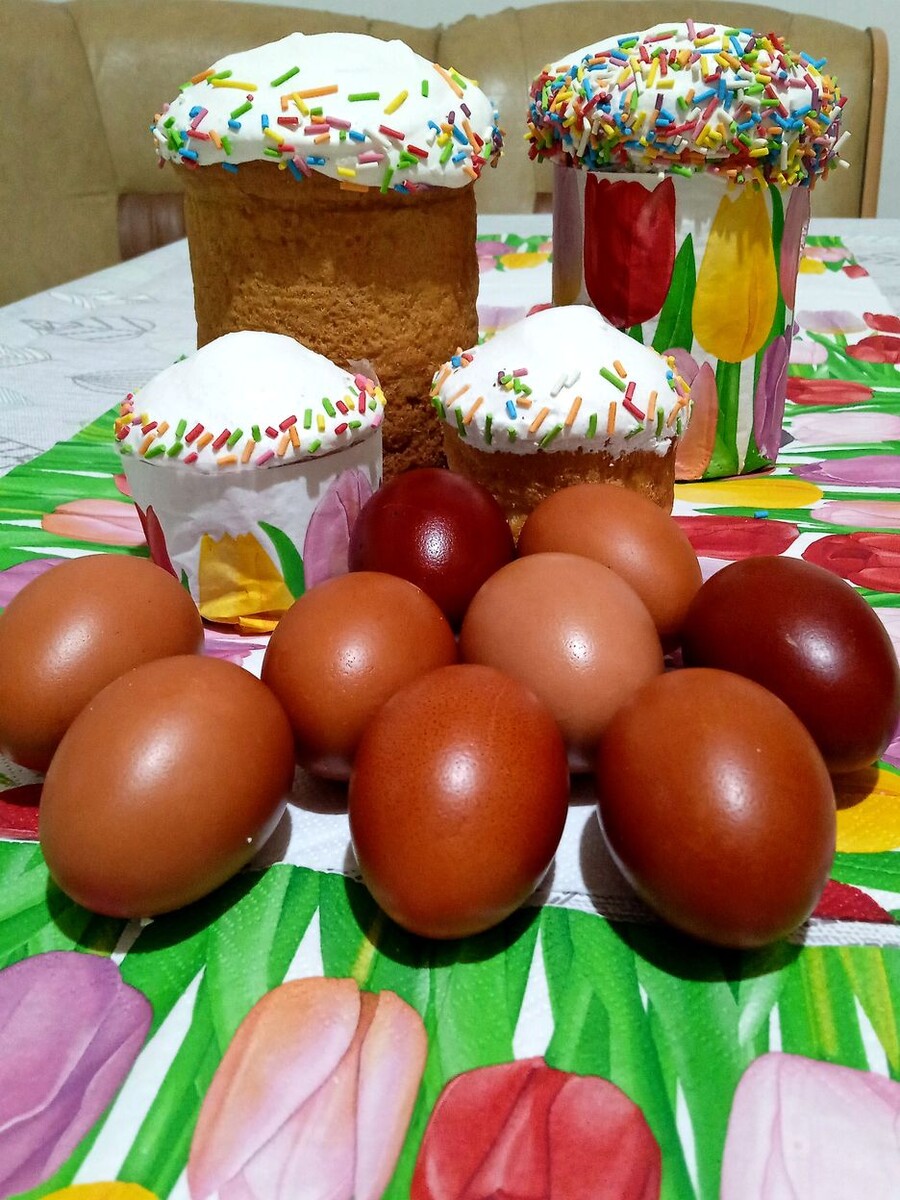 Собственное фото автора от 20 апреля 2025 г. 