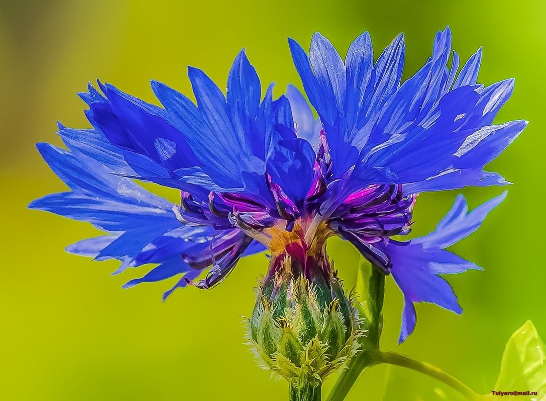 Фото из открытых источников. 