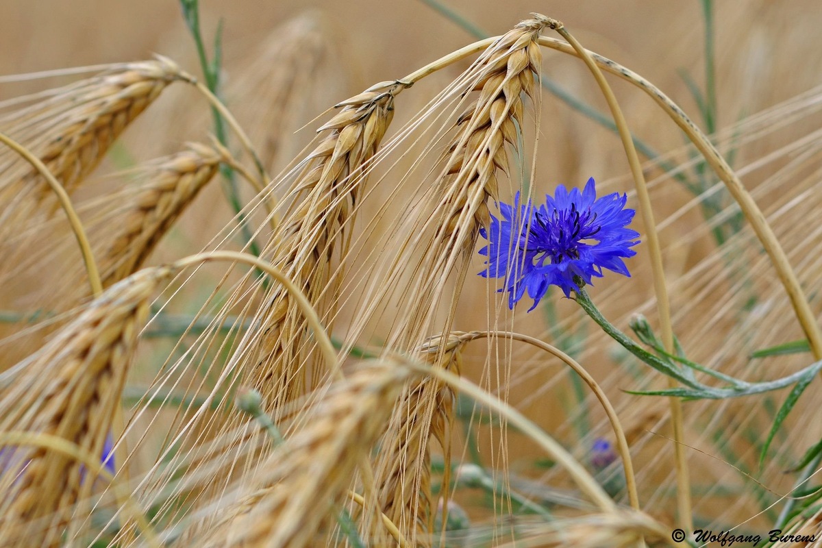 Фото из открытых источников. 