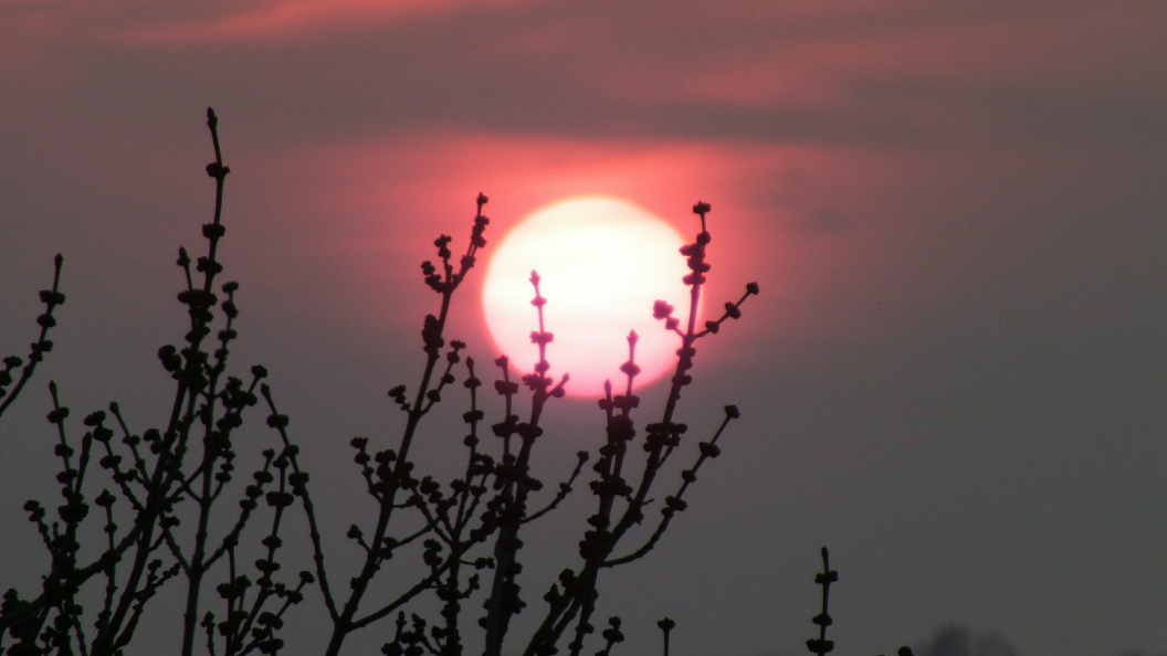    Victor Lisitsyn, Виктор Л/Global Look Press