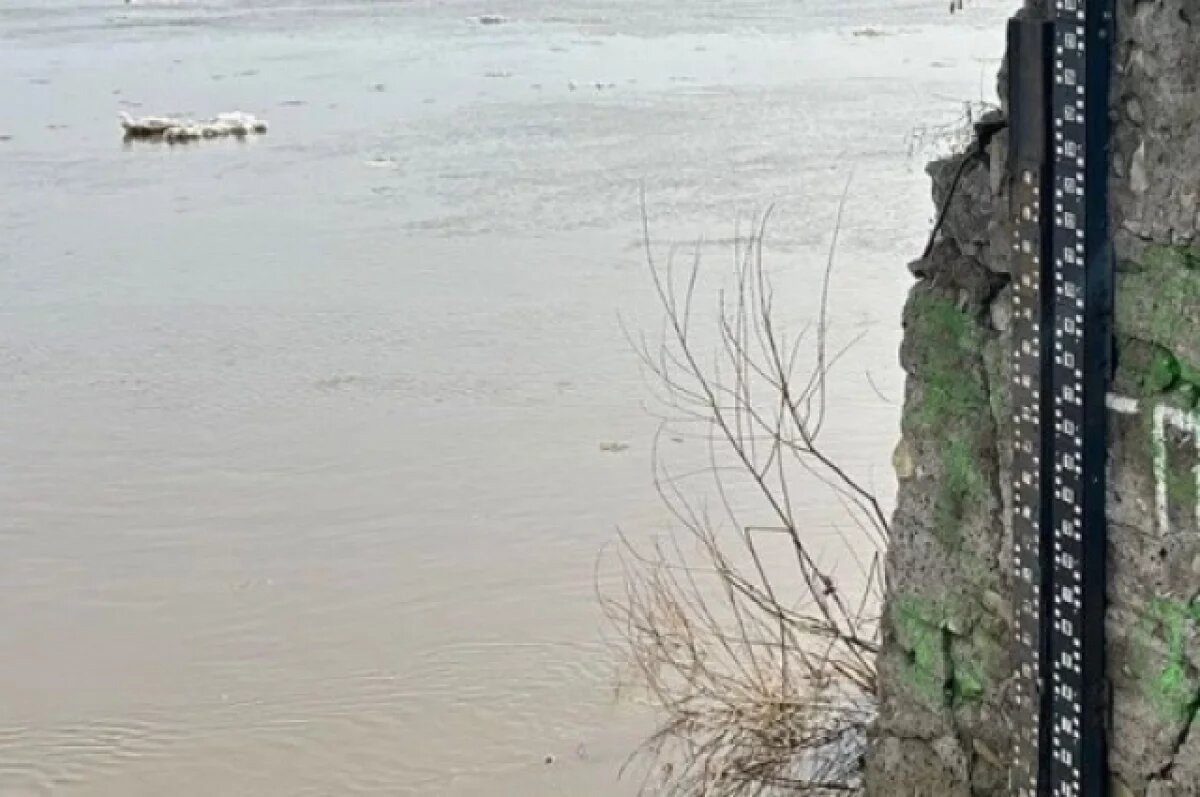    Страшную находку в реке обнаружили 19 апреля.