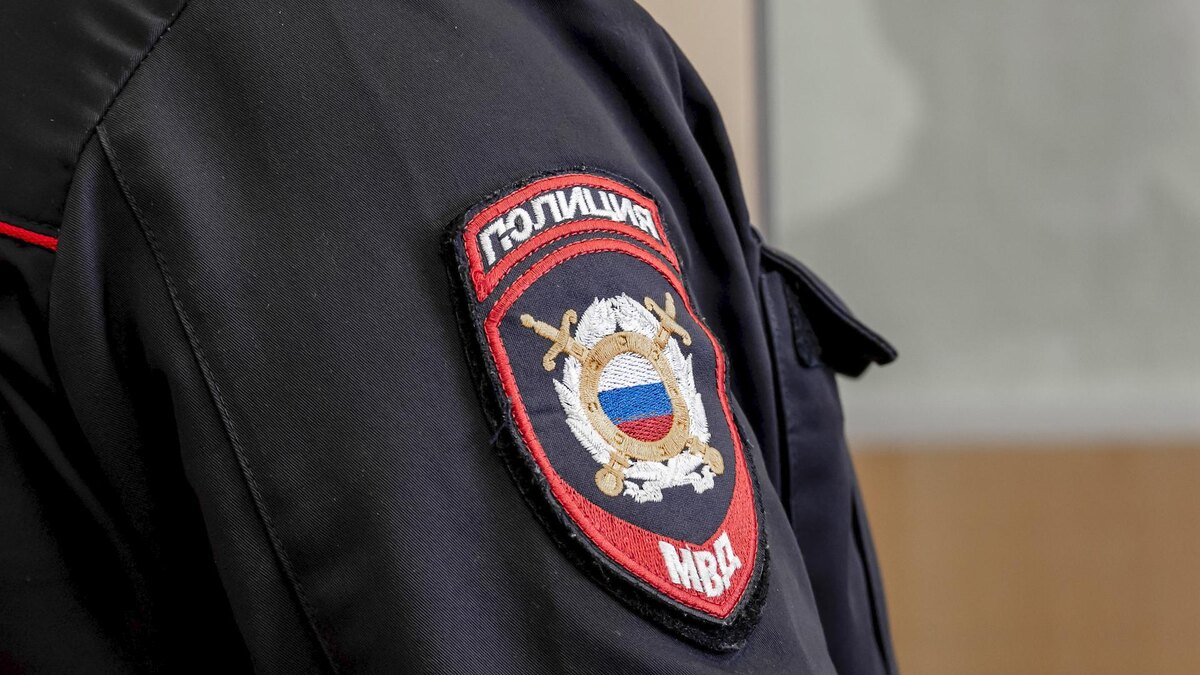    Фото: Ruslan Yarocky/URA.RU/globallookpress.com