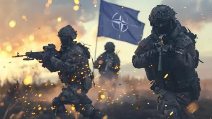 Коллаж NovorosInform