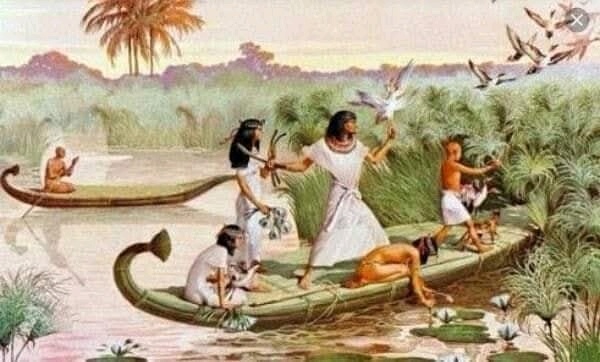 Из свободного доступа