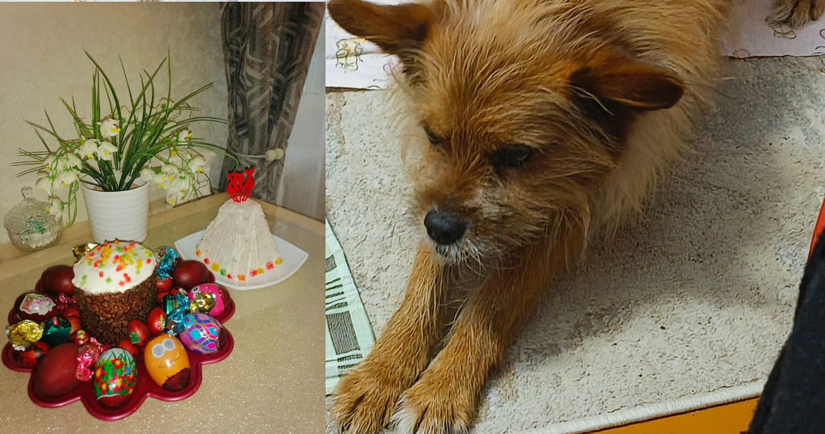 Христос воскресе 🙏