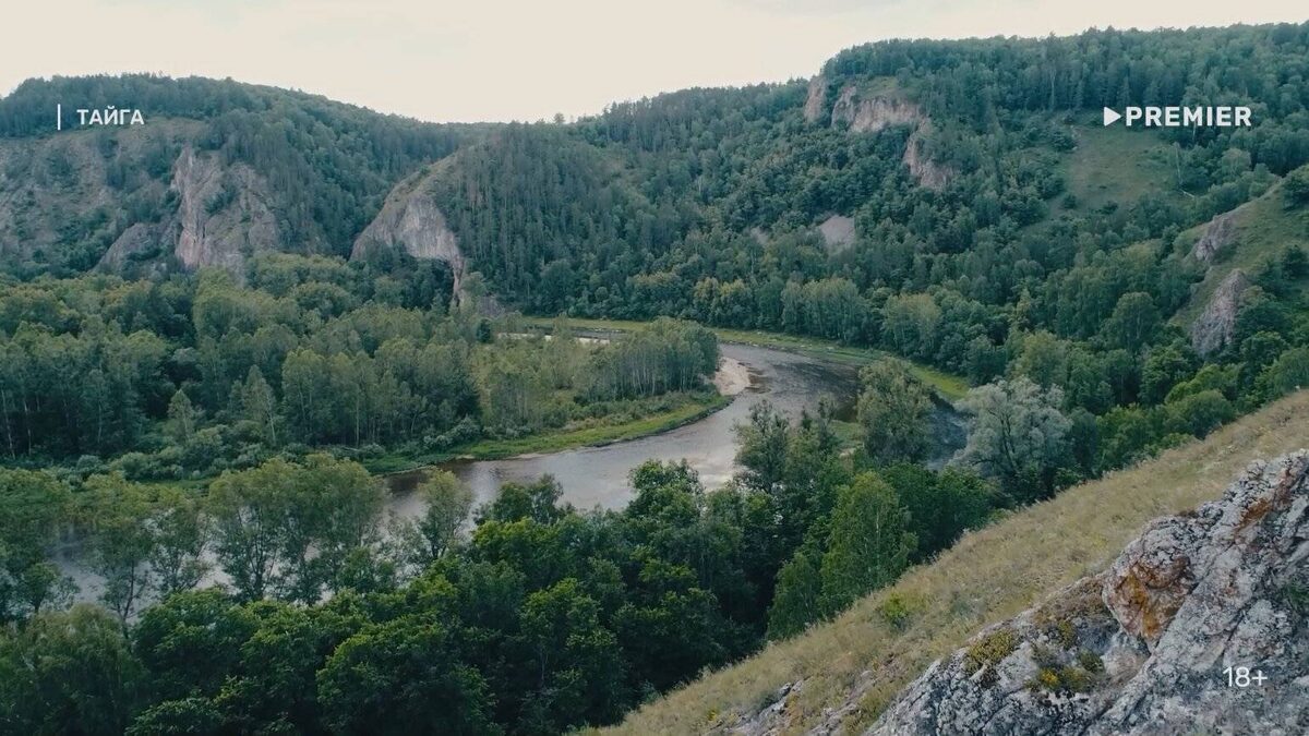 кадр из фильма