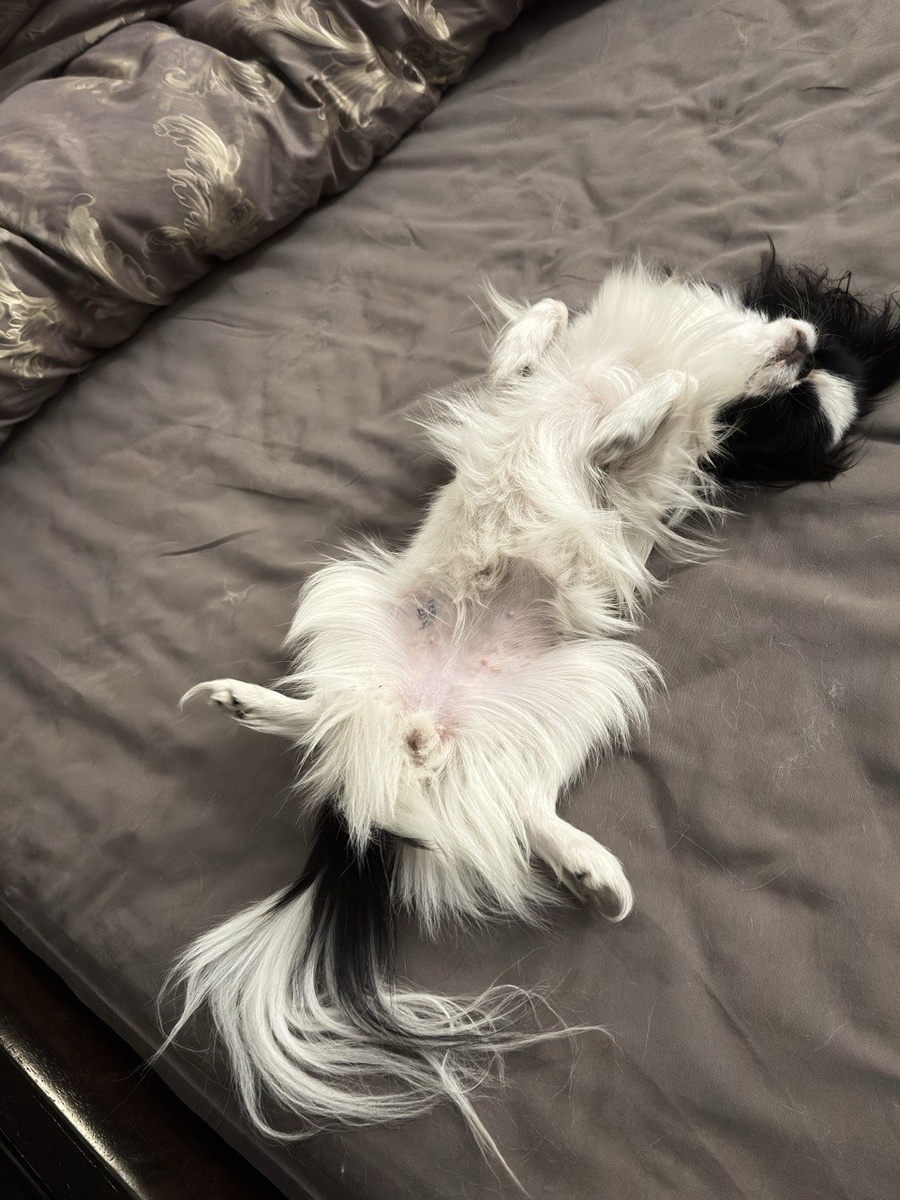 Принцесса Цуцуник в своих покоях