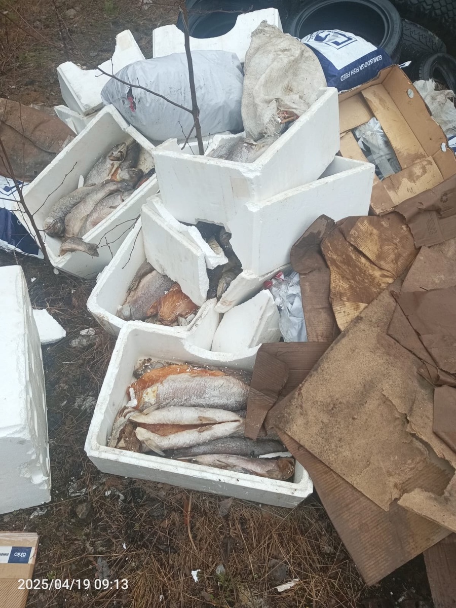    Фото: "Подслушано в ПТЗ | Петрозаводск"