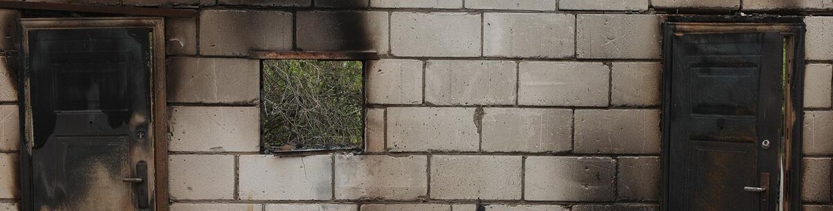    Фото: Антон Вергун