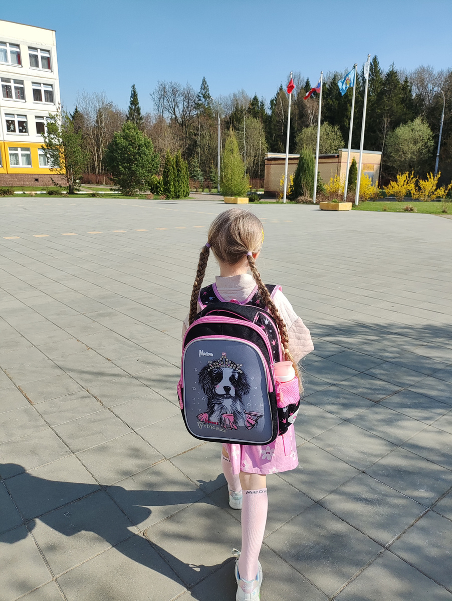 Идёт в школу