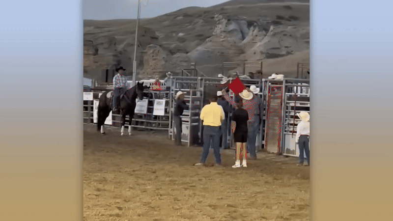 Нравится Формат? Поддержи Канал Лайком