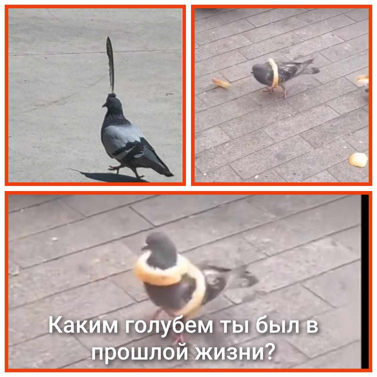 Немного юмора, а то все такие серьезные)