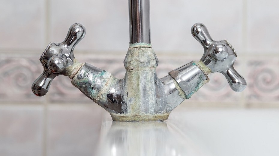 ShutterStock/Fotodom.ru