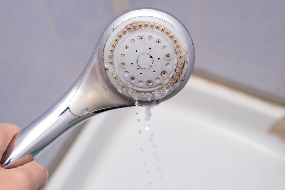    ShutterStock/Fotodom.ru