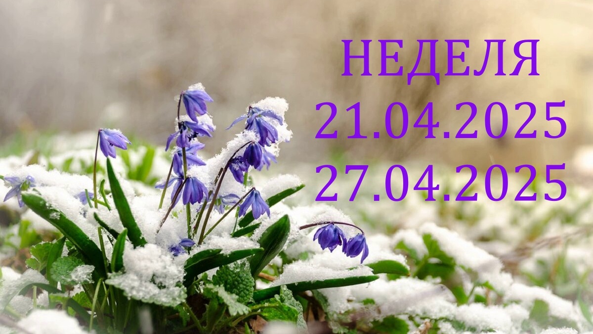 Шутки апреля. Фото в свободном доступе