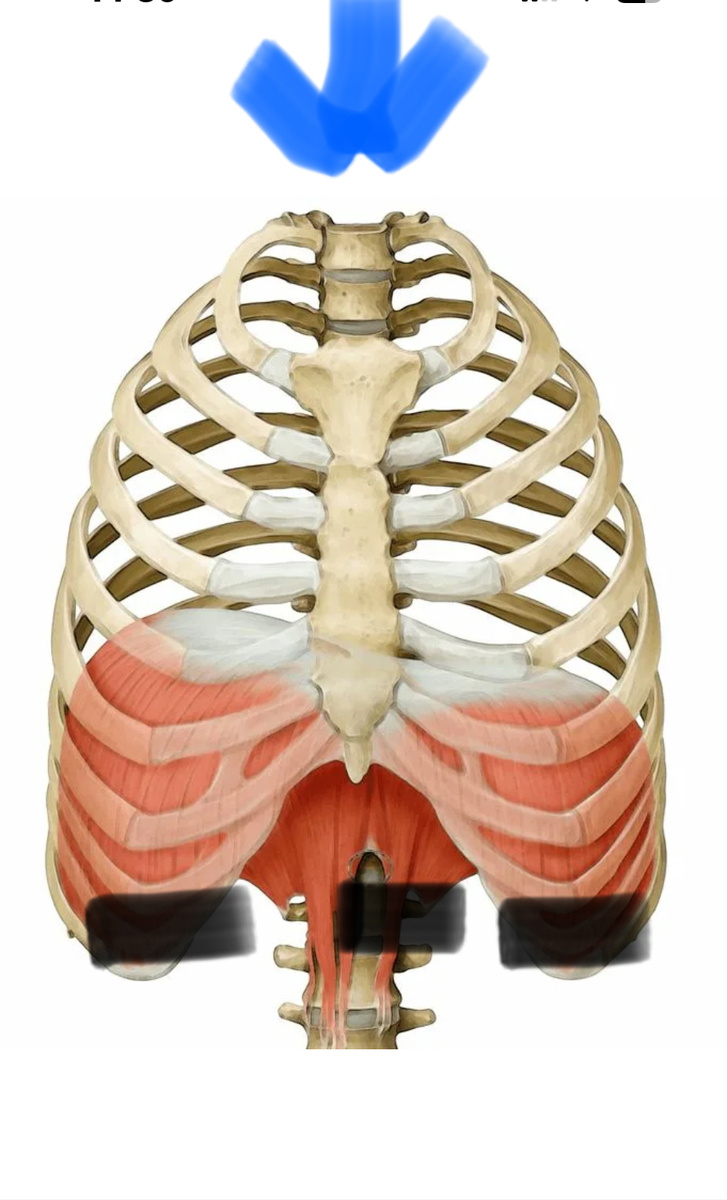 По объему снова технарям наиболее очевиден по схеме огромный объем в кубических сантиметрах, который этот купол, став плоским, затянет.