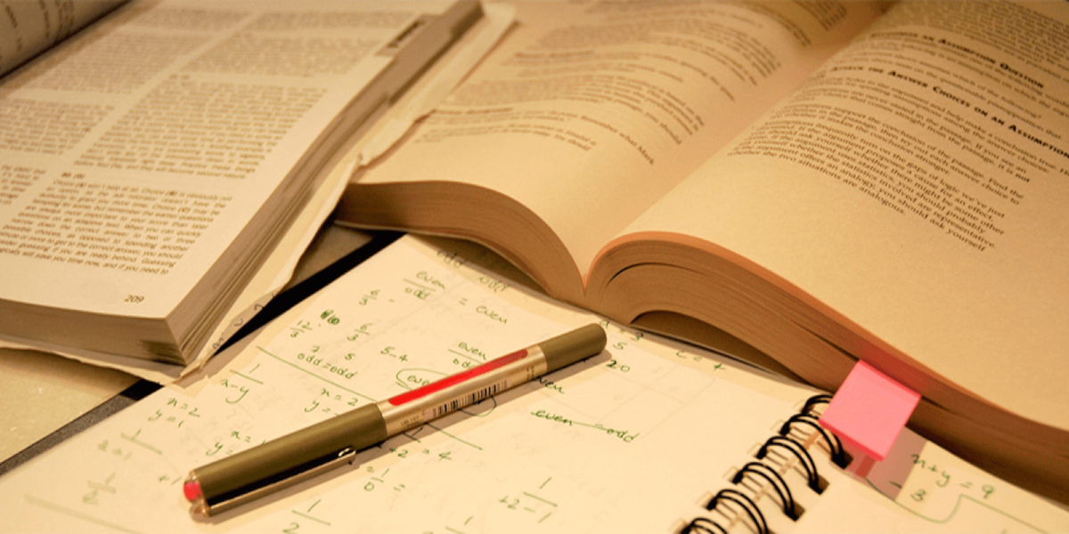 Фото взято из открытых источников