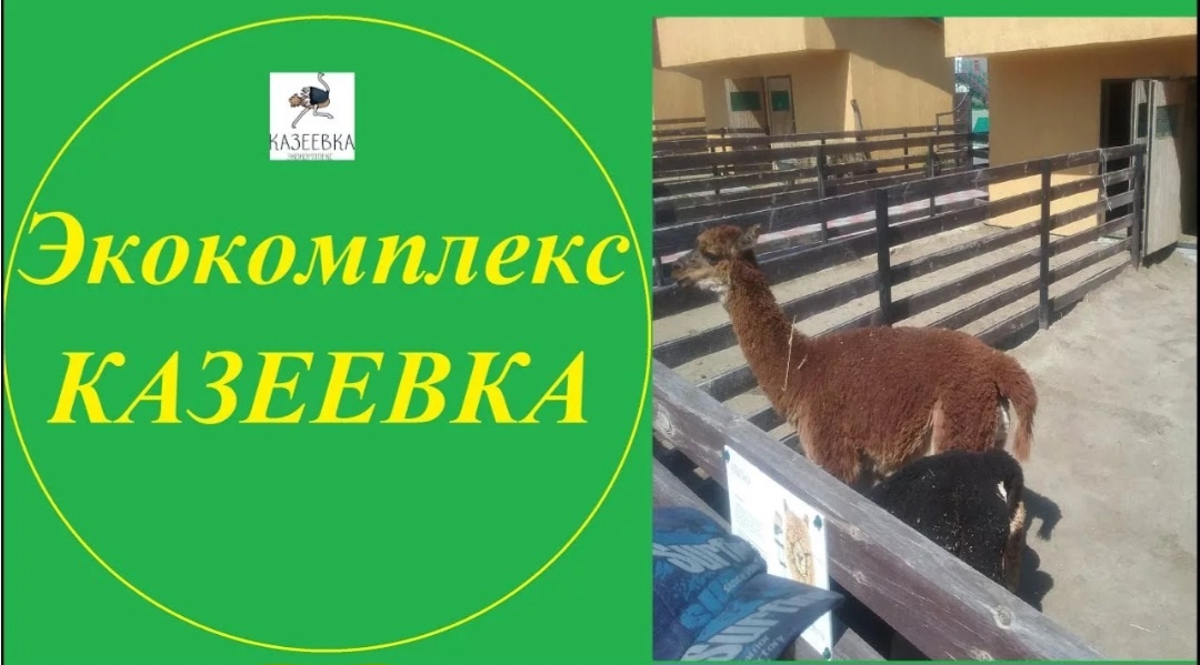 Расскажу, покажу, разберу для вас дорогие мои читатели и гости моей странички про такой звериный и животный экокомплекс, который делает людей и народ счастливыми. Дает им свежие и новые эмоции и конечно же впечатления😎💃😸🕊