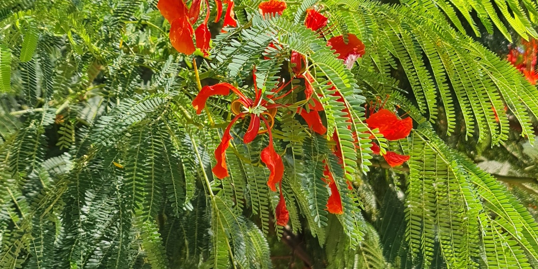 Христо воскрес...💖