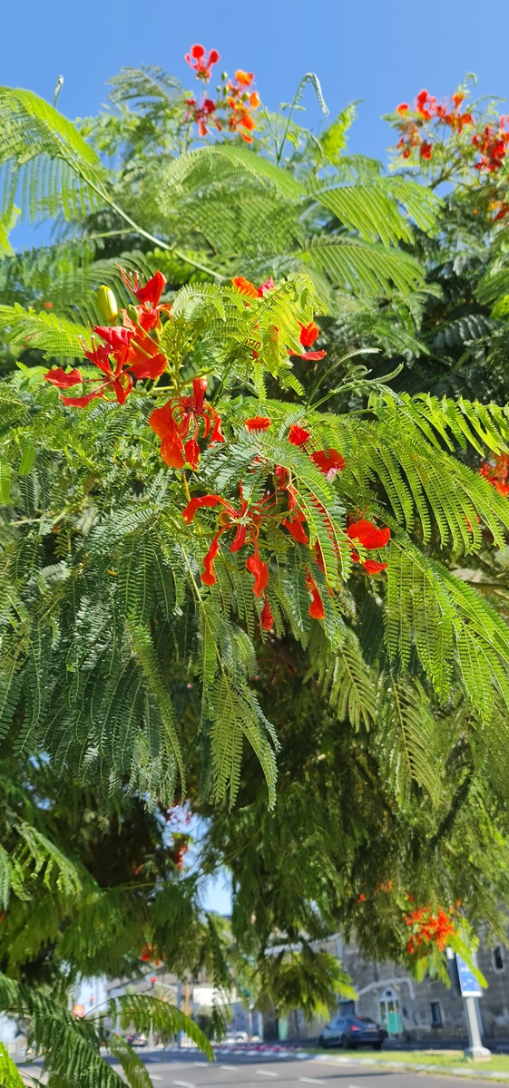 Красота, как же хочеться наблюдать за этой красотой.Почему то в молодости. этогог не видела....