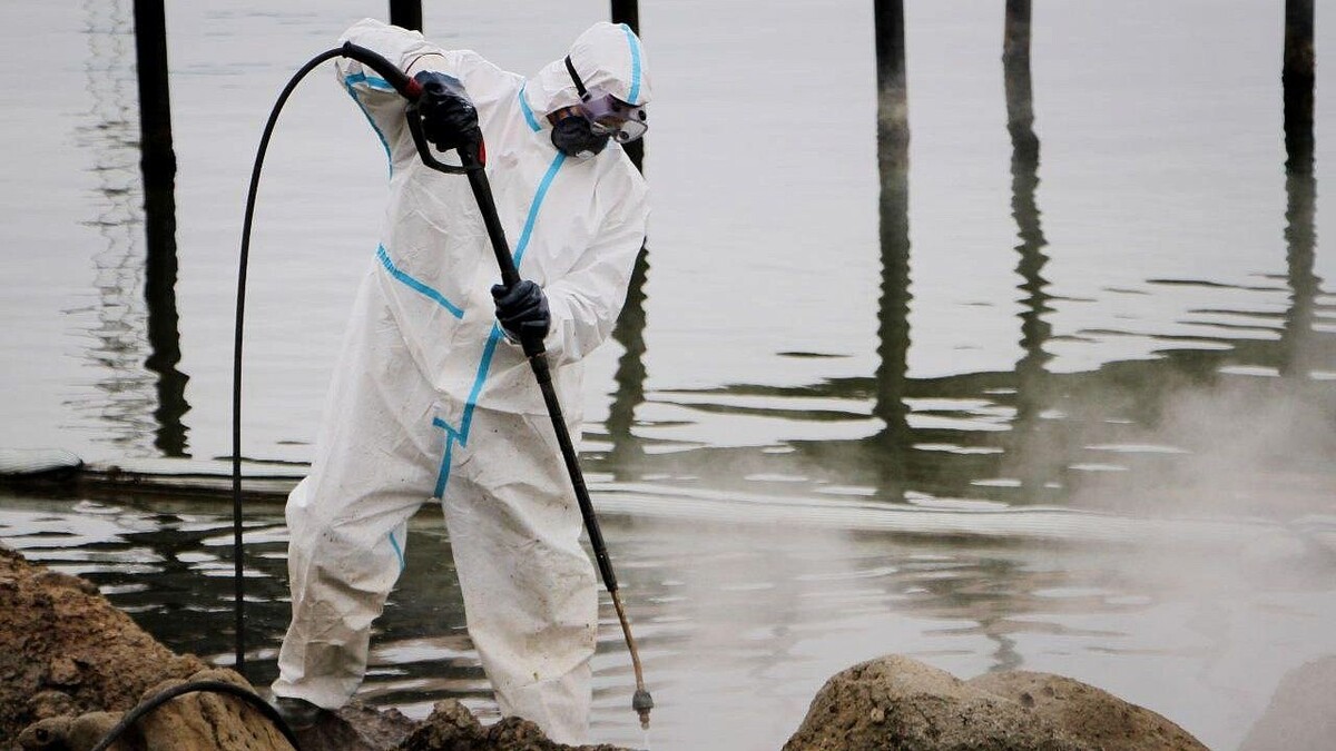    Фото: t.me/opershtab23