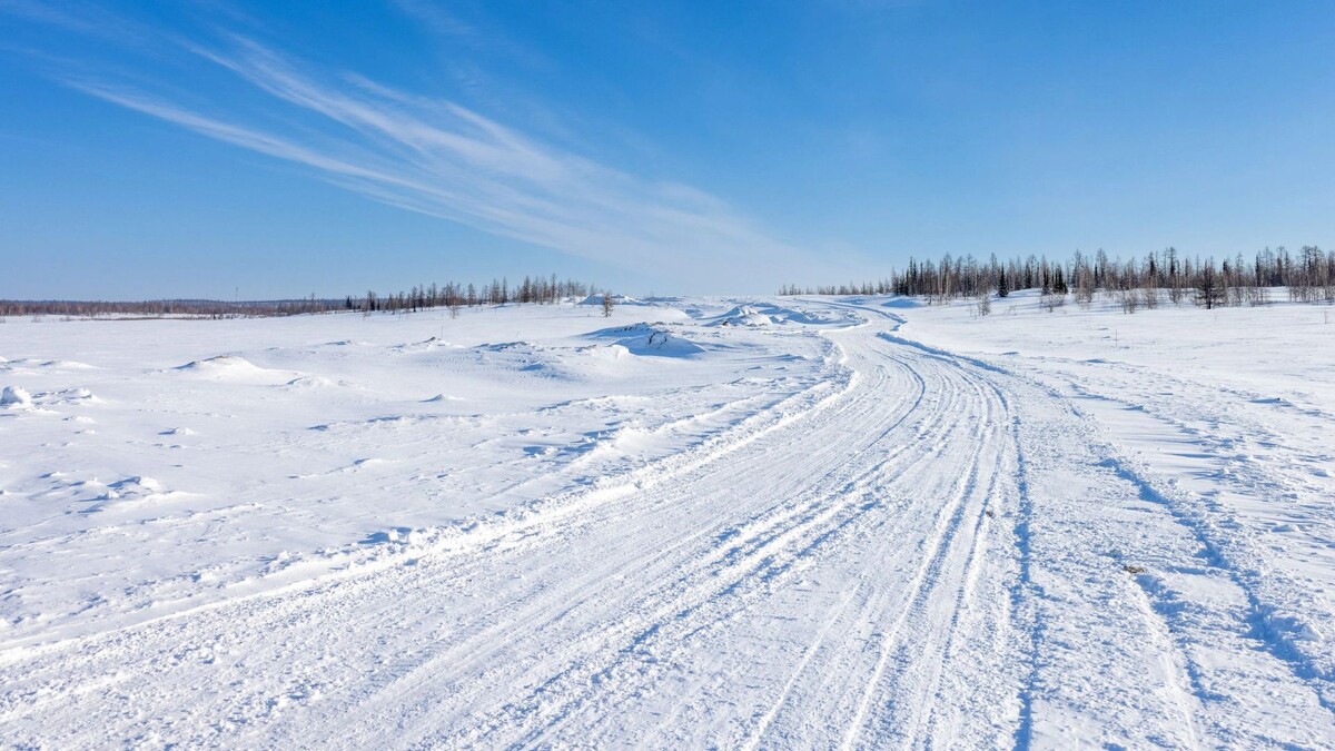    Фото: Федор Воронов/«Ямал-Медиа»