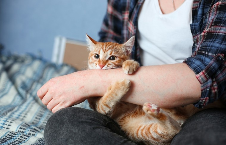    Shutterstock/FOTODOM